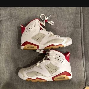 Jordan 6 Alternate